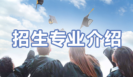 博狗